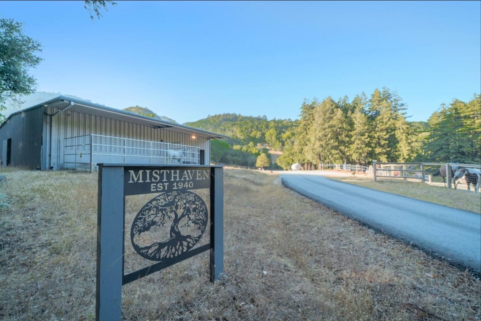 Misthaven Ranch Nature Retreat - Gilroy, California - glamping.directory