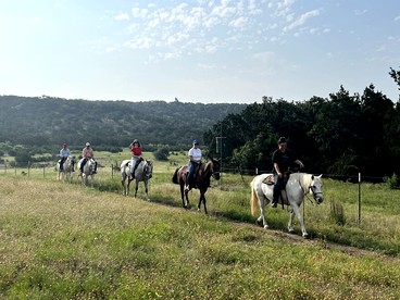 Secluded, Quiet 1B/1B Luxury Private Farm Stay in Fischer, TX - Fischer, Texas - glamping.directory