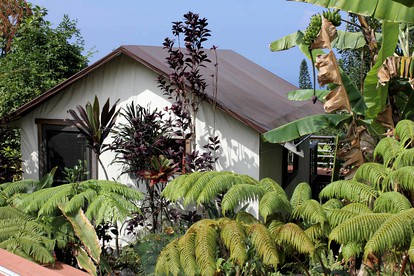 Romantic Cottage for Couples in the Heart of Nature at Yoga Retreat in Captain Cook - glamping.directory