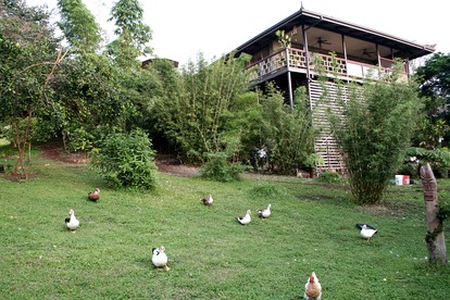 Romantic Cottage for Couples in the Heart of Nature at Yoga Retreat in Captain Cook - Captain Cook, Hawaii - glamping.directory