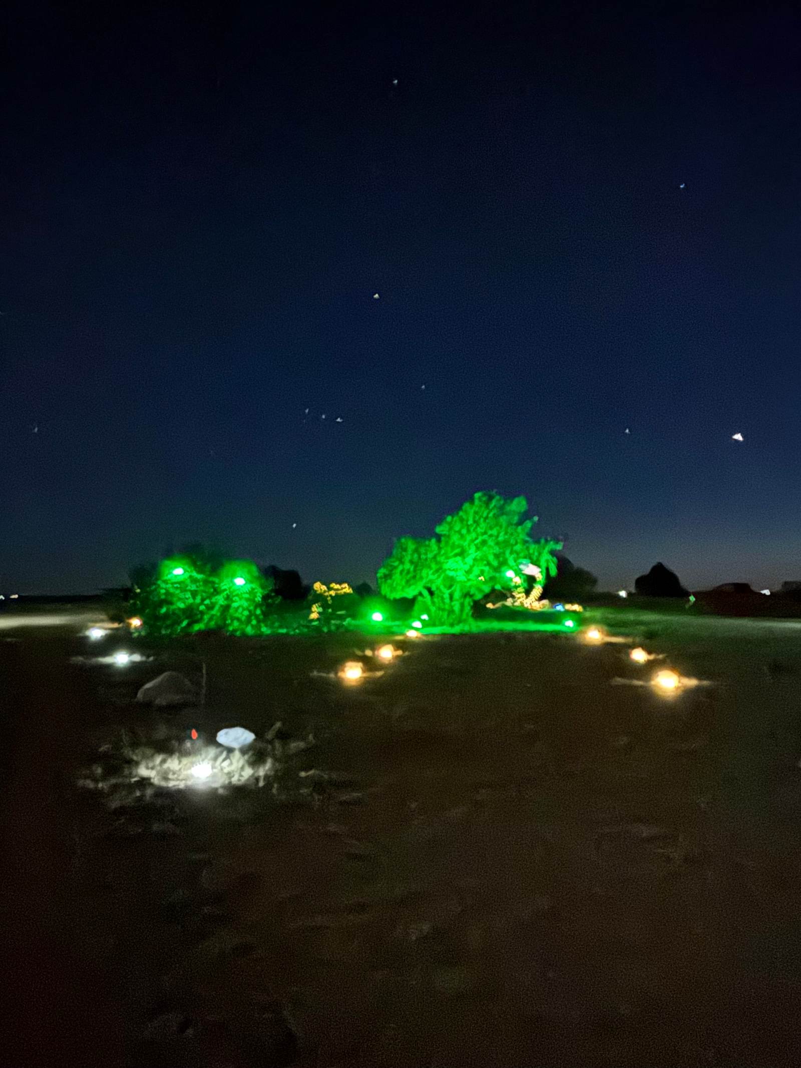 Desert Garden By Grand Canyon - Williams, Arizona - glamping.directory