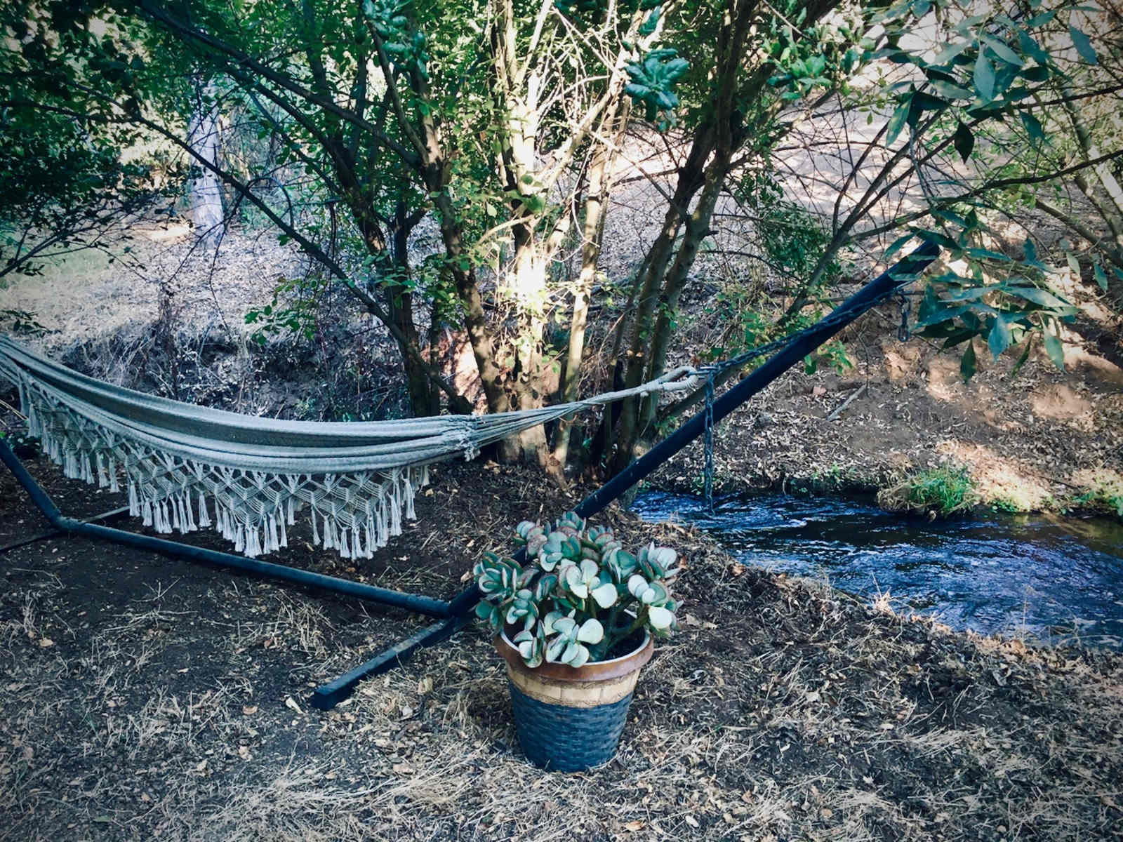 Wild Seeds Ranch - Dulzura, California - glamping.directory