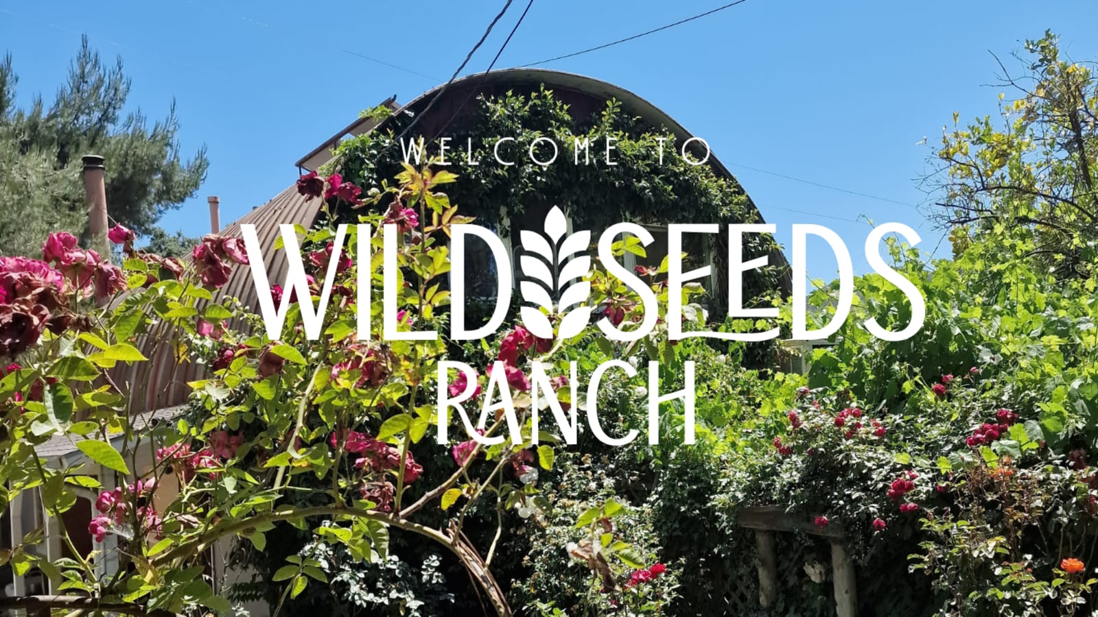 Wild Seeds Ranch - glamping.directory