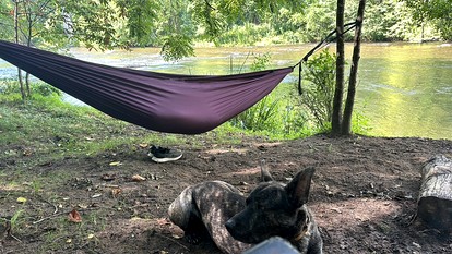 Gorgeous Cozy Yurt for a Unique Romantic Glamping Experience near Cullowhee, North Carolina - Cullowhee, North Carolina - glamping.directory