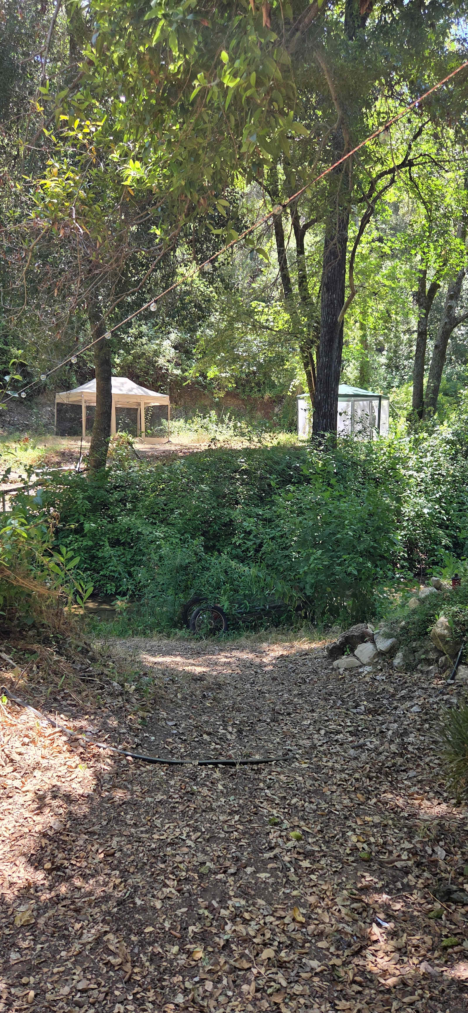 UpperLopez Creek Camp - Edna, California - glamping.directory