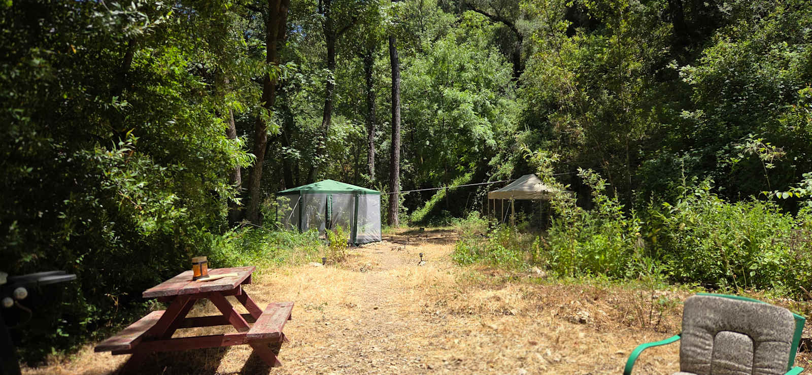 UpperLopez Creek Camp - Edna, California - glamping.directory