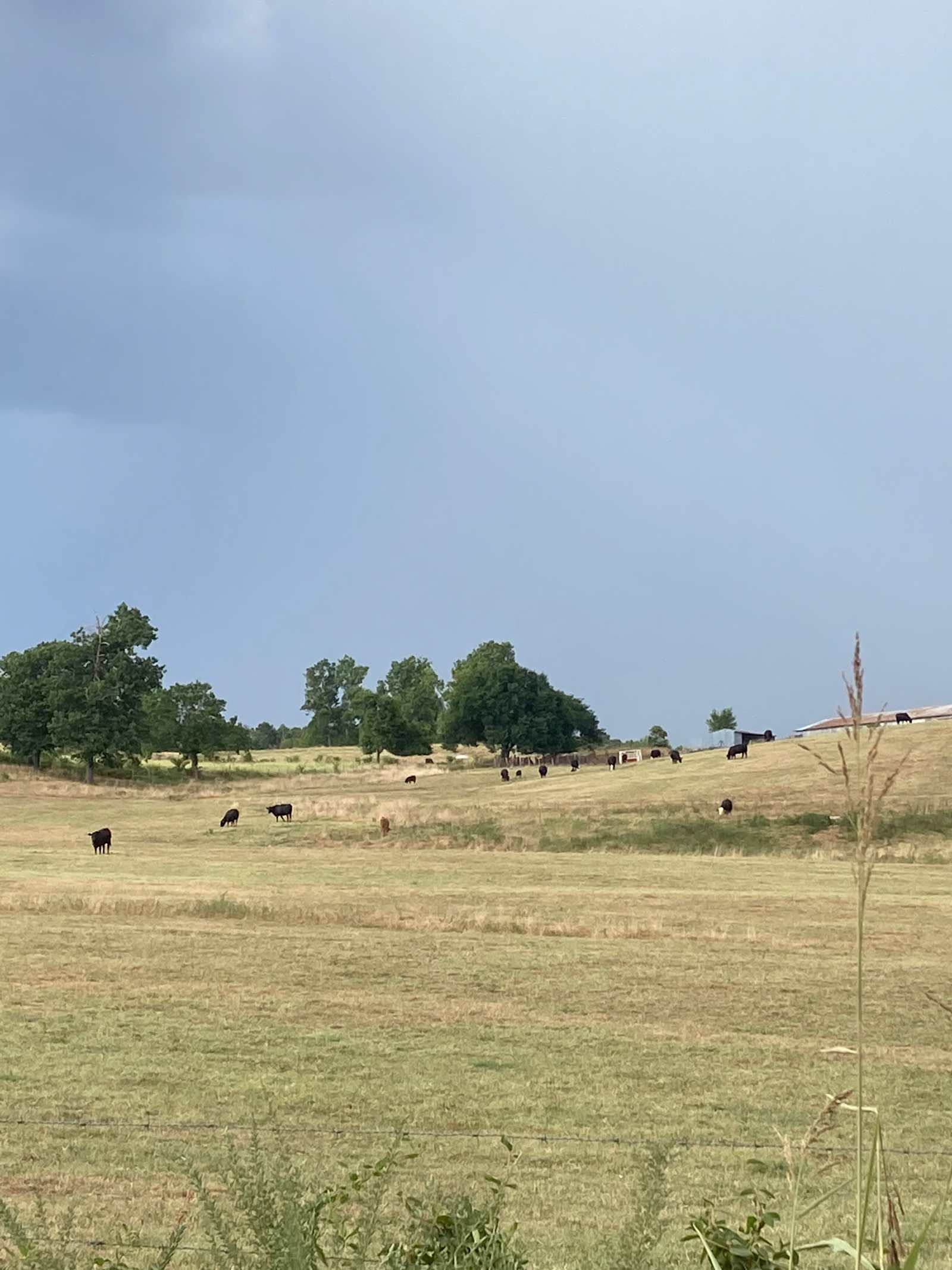 Varnadoe Ranch - Springtown, Arkansas - glamping.directory