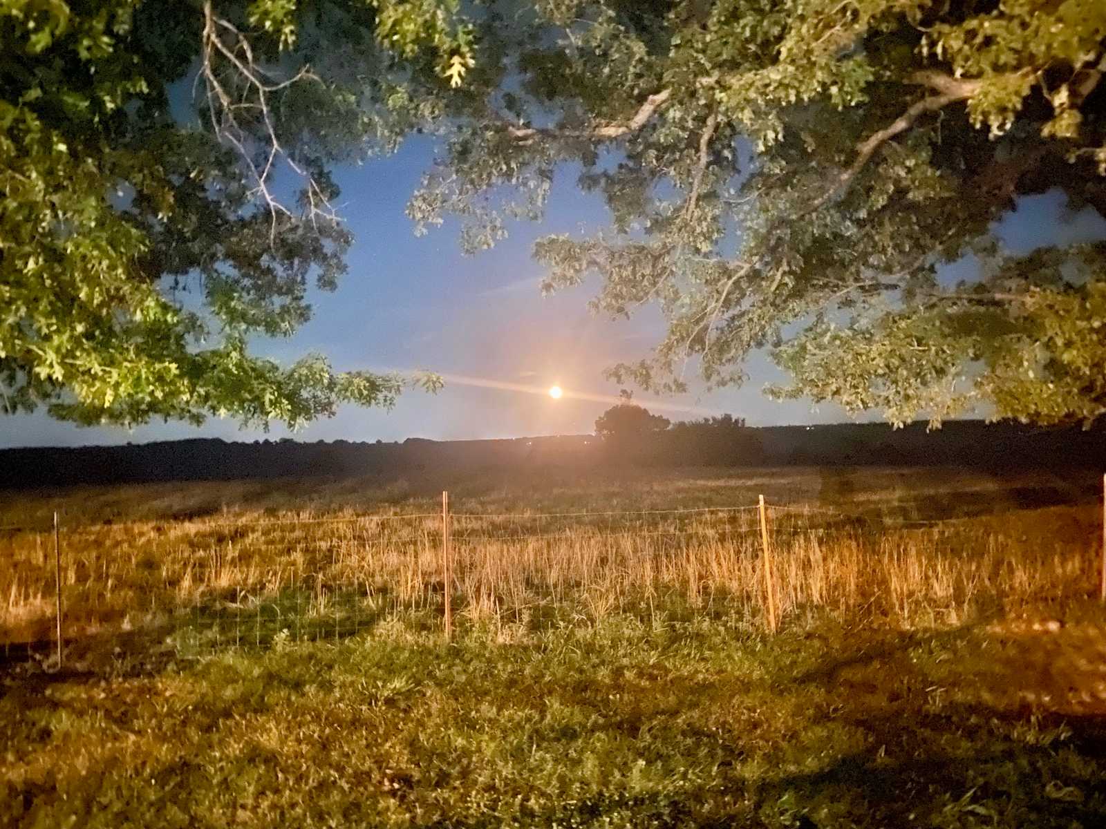 Varnadoe Ranch - Springtown, Arkansas - glamping.directory