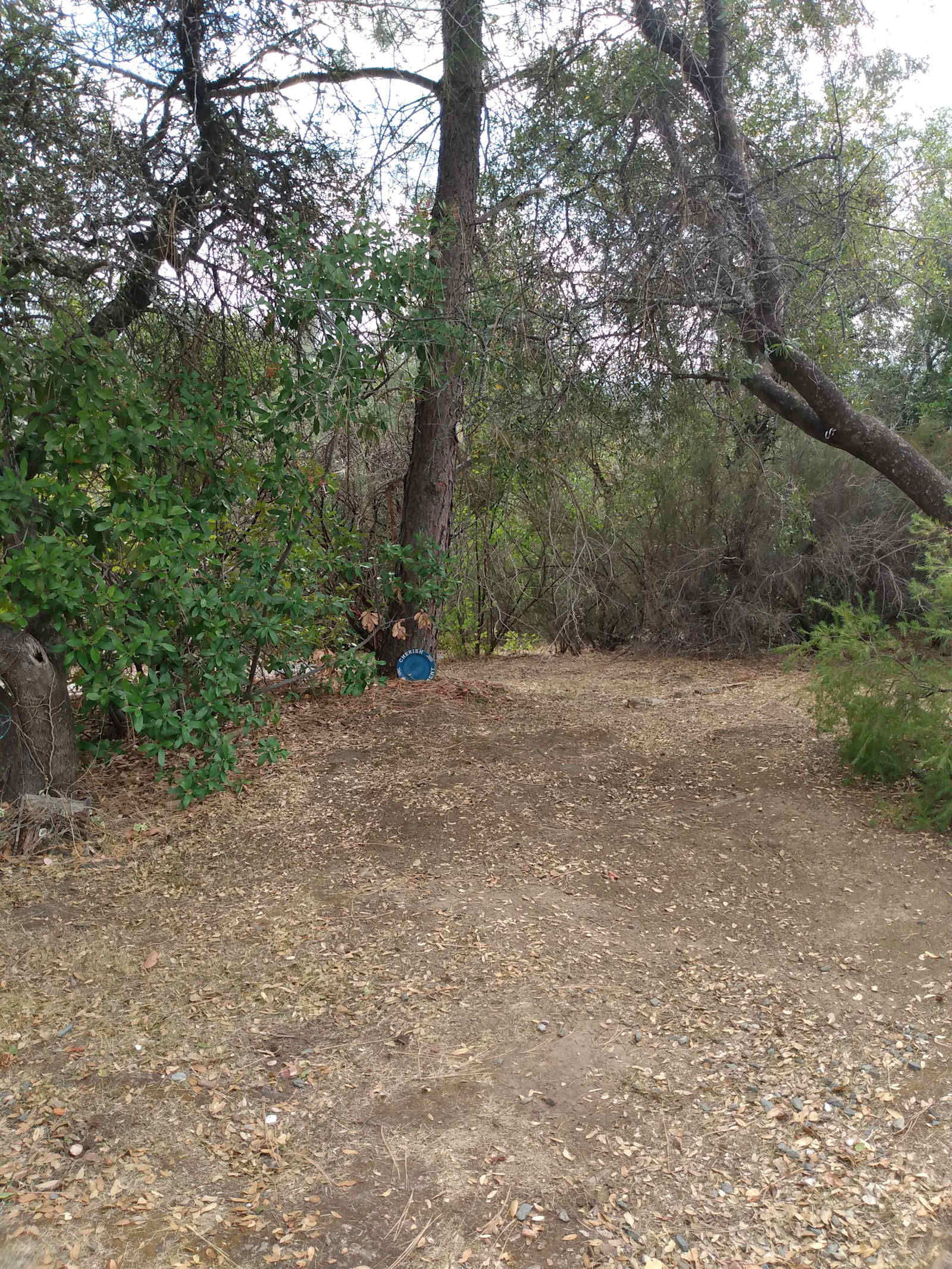 Sunset Serenity - Mountain Ranch, California - glamping.directory