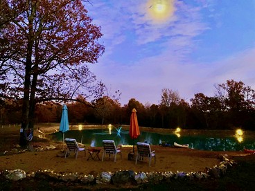 Tranquil Lakefront Cabin Surrounded by Woods, Wildlife & Scenic Trails in Williford, Arkansas - Williford, Arkansas - glamping.directory