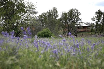 Beautiful Cabin with Deck and Hot Tub Overlooking Spring Creek in Texas - Fredericksburg, Texas - glamping.directory