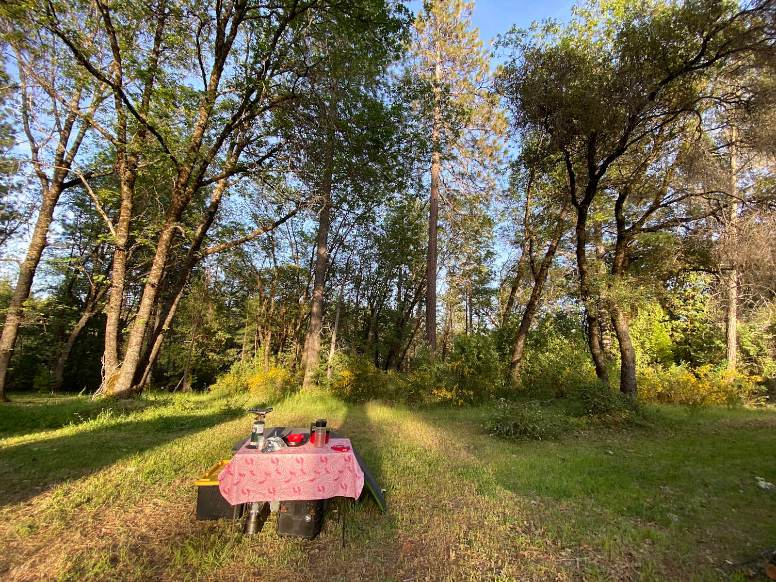 Camp Tillicum - Nevada City, California - glamping.directory