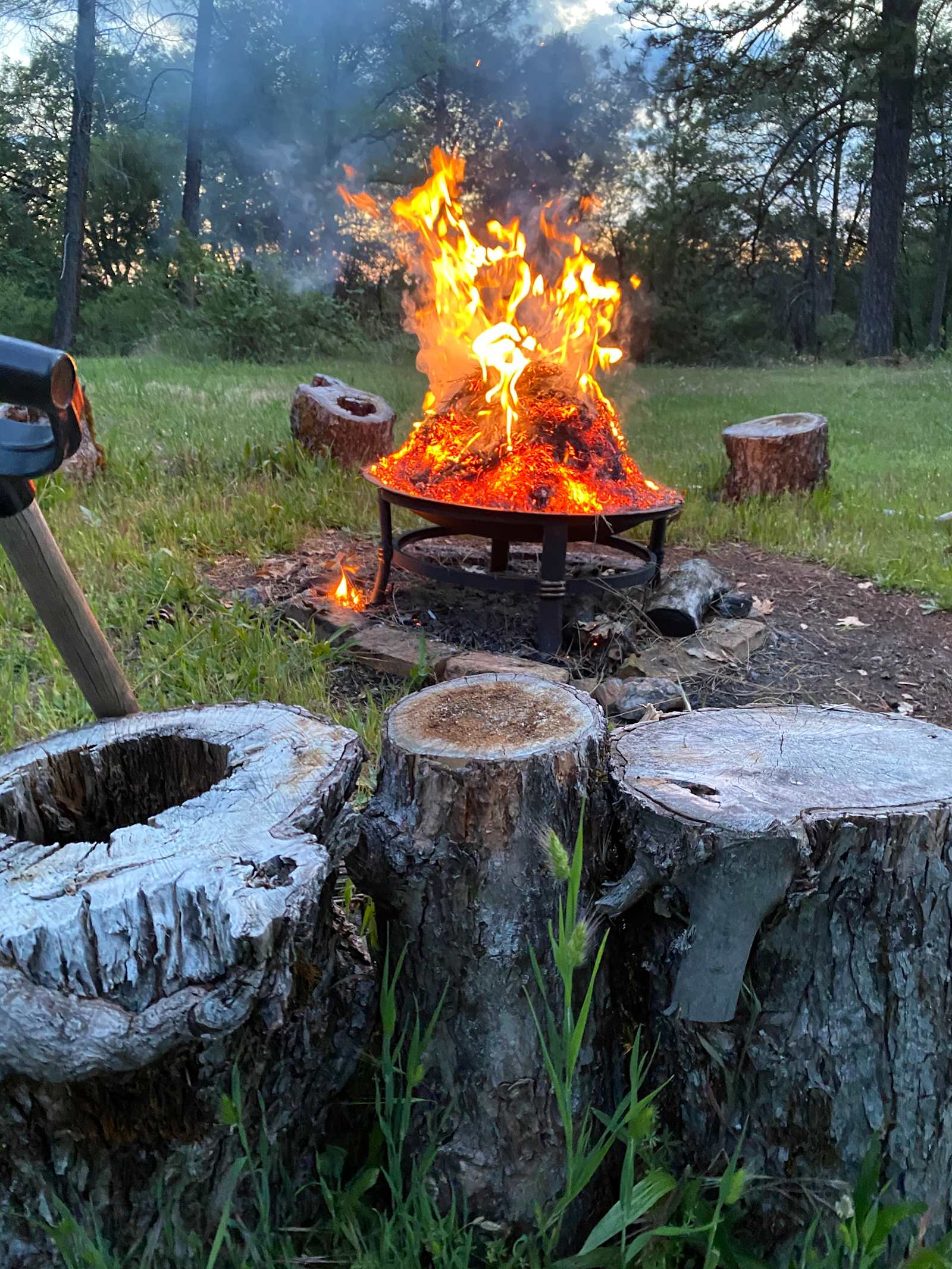 Camp Tillicum - Nevada City, California - glamping.directory
