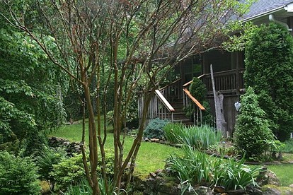 Simple Camping Cabin on Eight Private Forested Acres near Brevard, North Carolina - Brevard, North Carolina - glamping.directory
