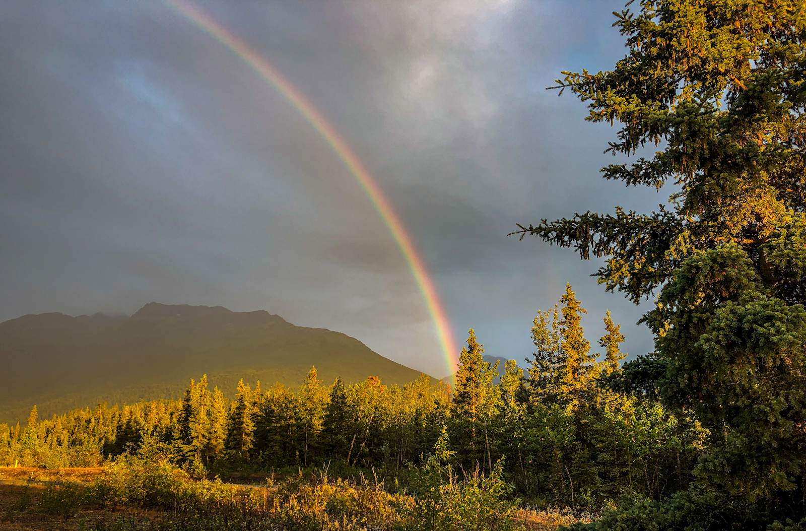 The Glacier Breeze - Palmer, Alaska - glamping.directory