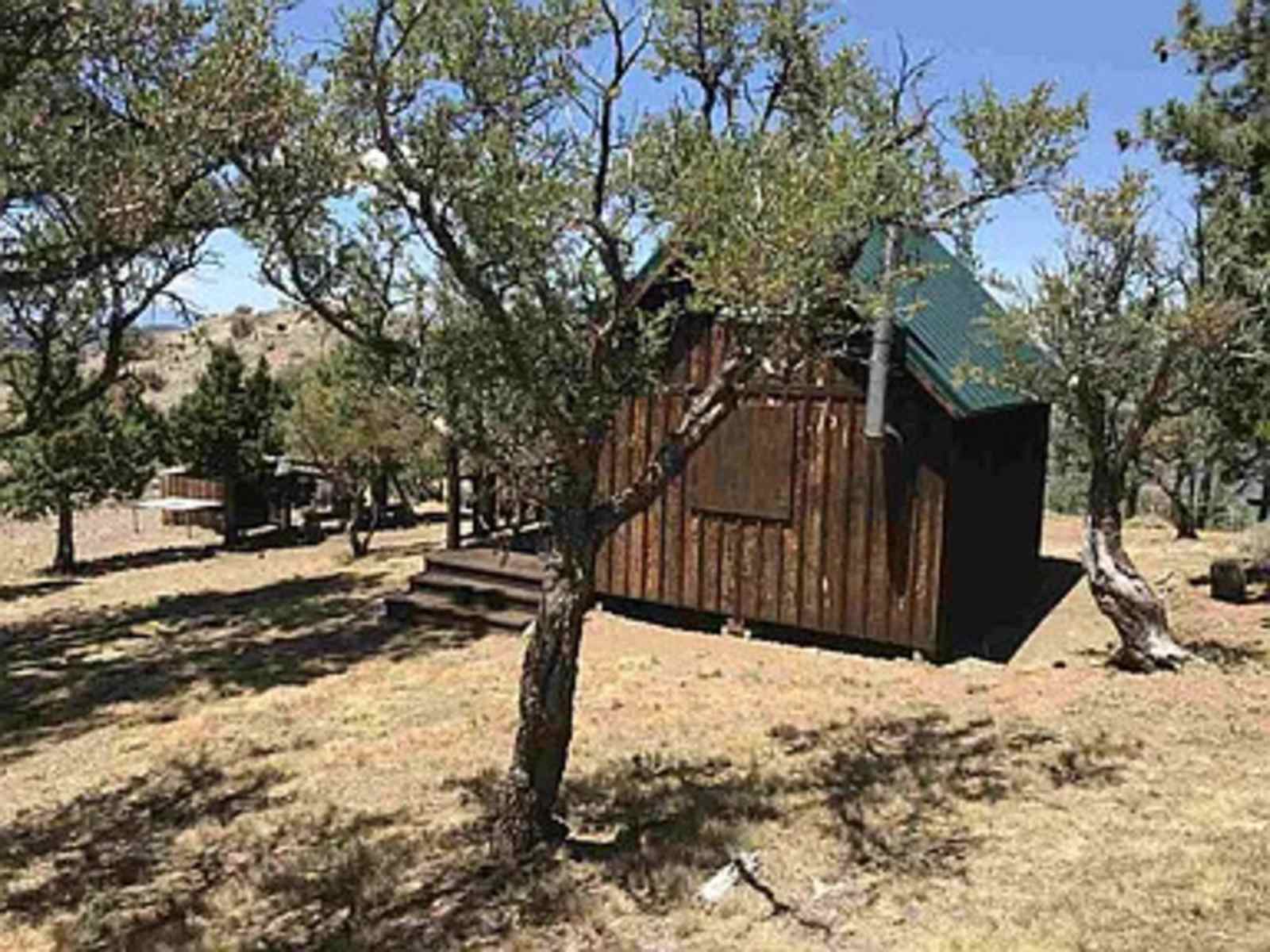 Mountain House Cabin & Tent - Gazelle, California - glamping.directory