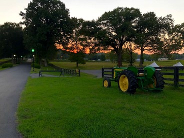 Stay in a Converted Horse Stall Suite with Private Bath, Breakfast & Farm Views Near Old Hickory Lake - Lebanon, Tennessee - glamping.directory