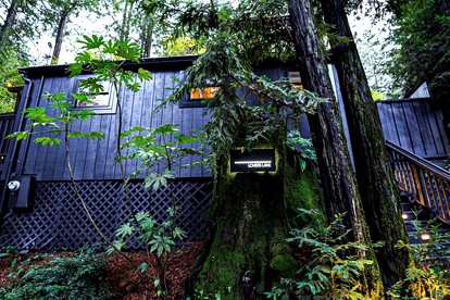 Romantic Glamping Getaway with a Hot Tub on the Russian River - glamping.directory
