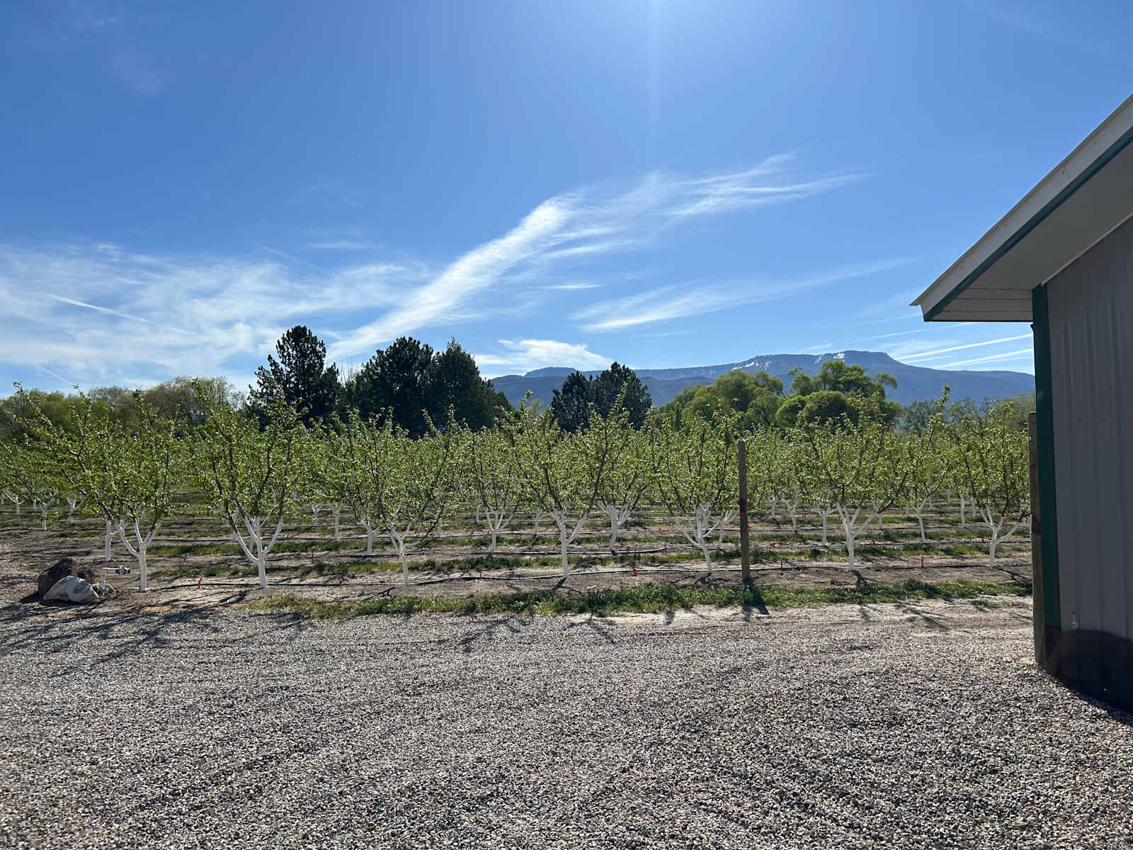 Double D Orchards - Palisade, Colorado - glamping.directory