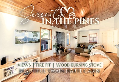 Enjoyable Cabin with Fireplace and Foosball in Twain Harte, California - glamping.directory