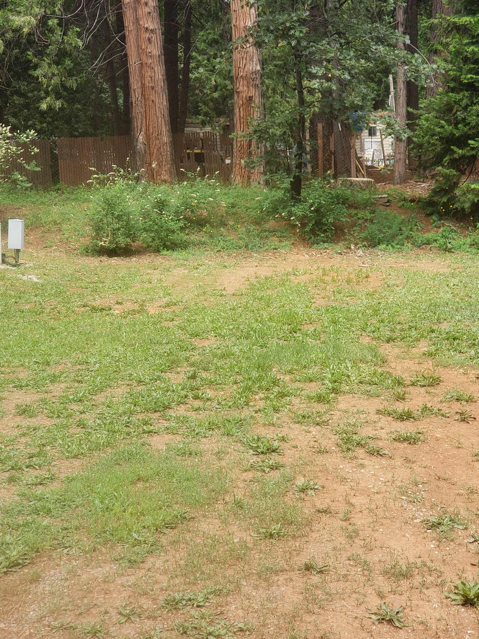 Quail Ridge RV Park - Strawberry Valley, California - glamping.directory