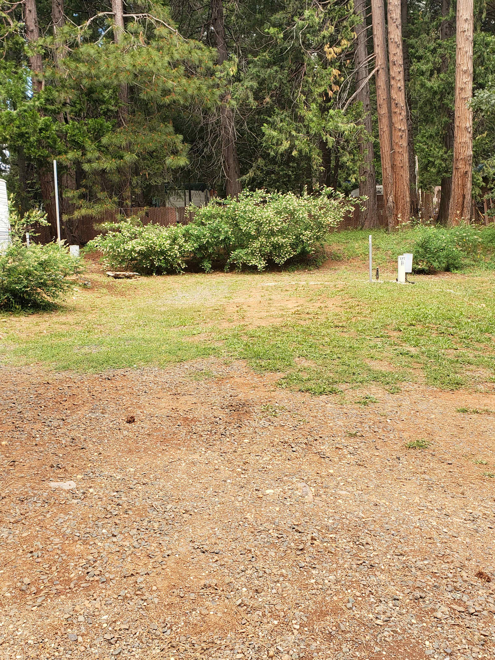 Quail Ridge RV Park - Strawberry Valley, California - glamping.directory