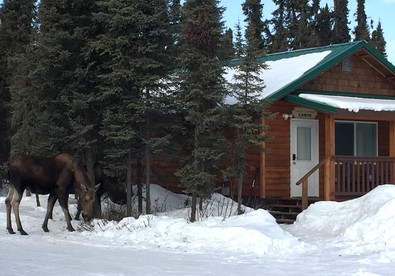 Gorgeous Romantic Cabin Rental with Private Porch near Ridgeway, Alaska - Kenai, Alaska - glamping.directory