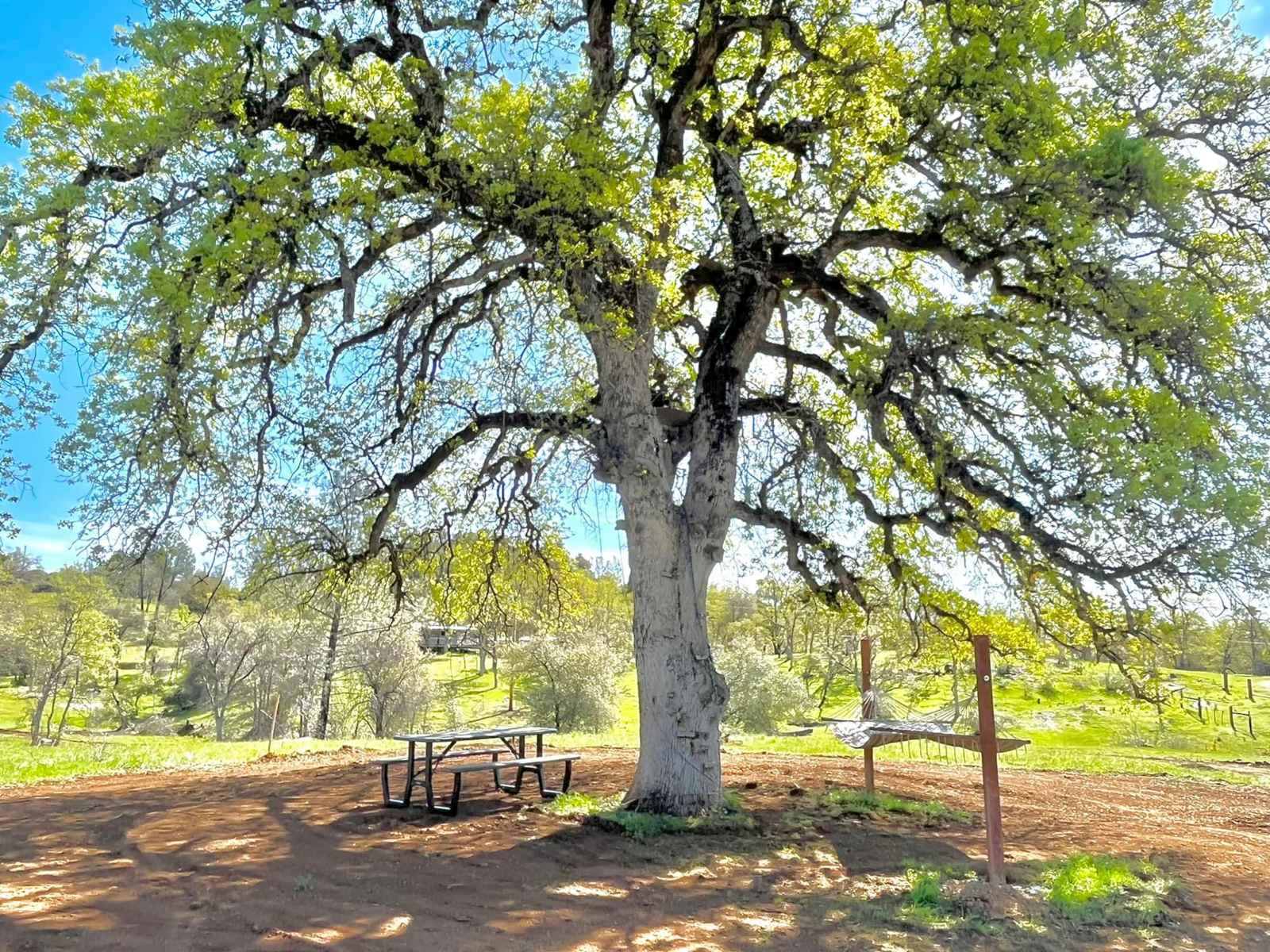 Whiskeytown Lake Getaway - glamping.directory
