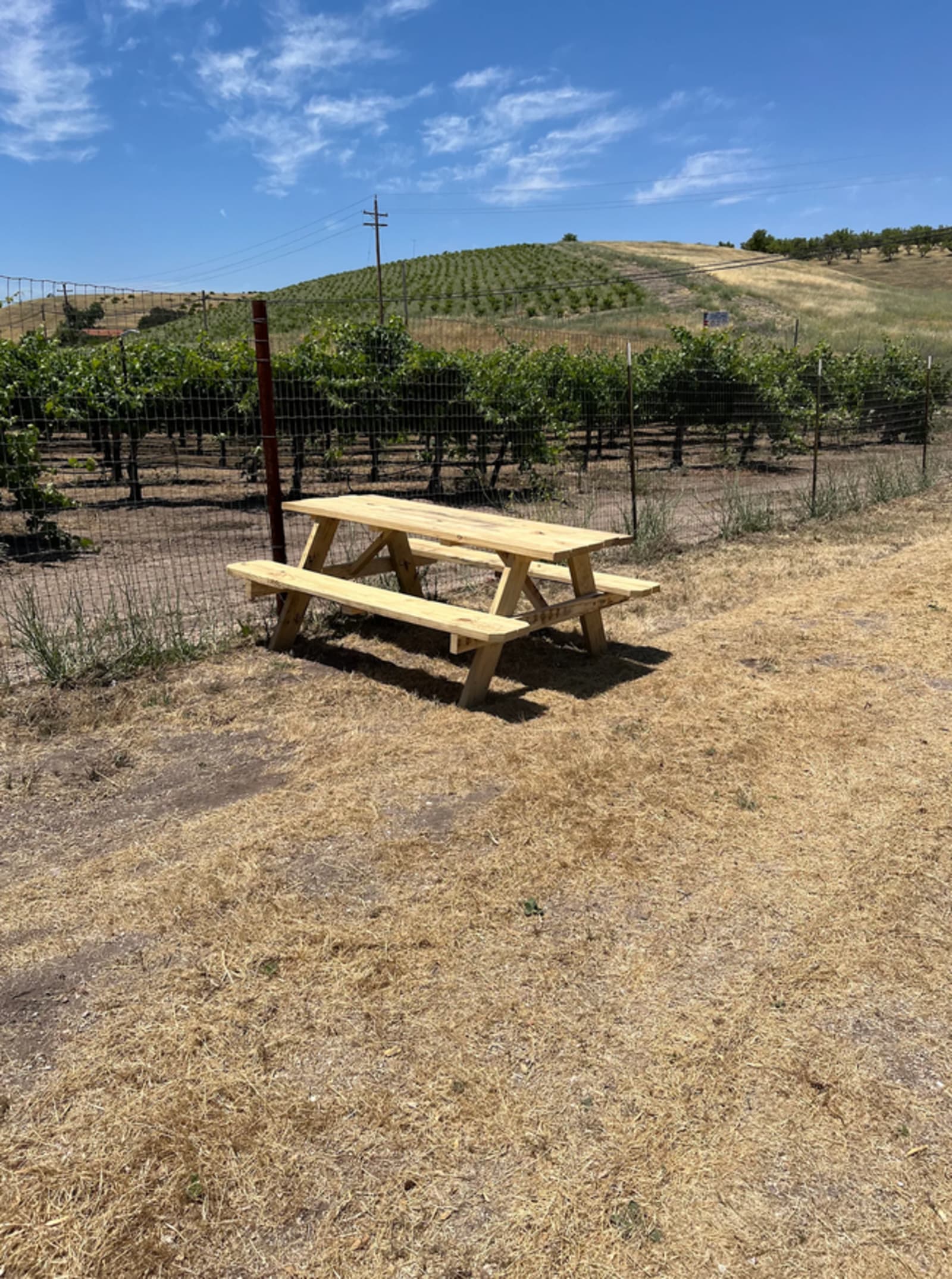Paul's Paso Vineyard - Paso Robles, California - glamping.directory