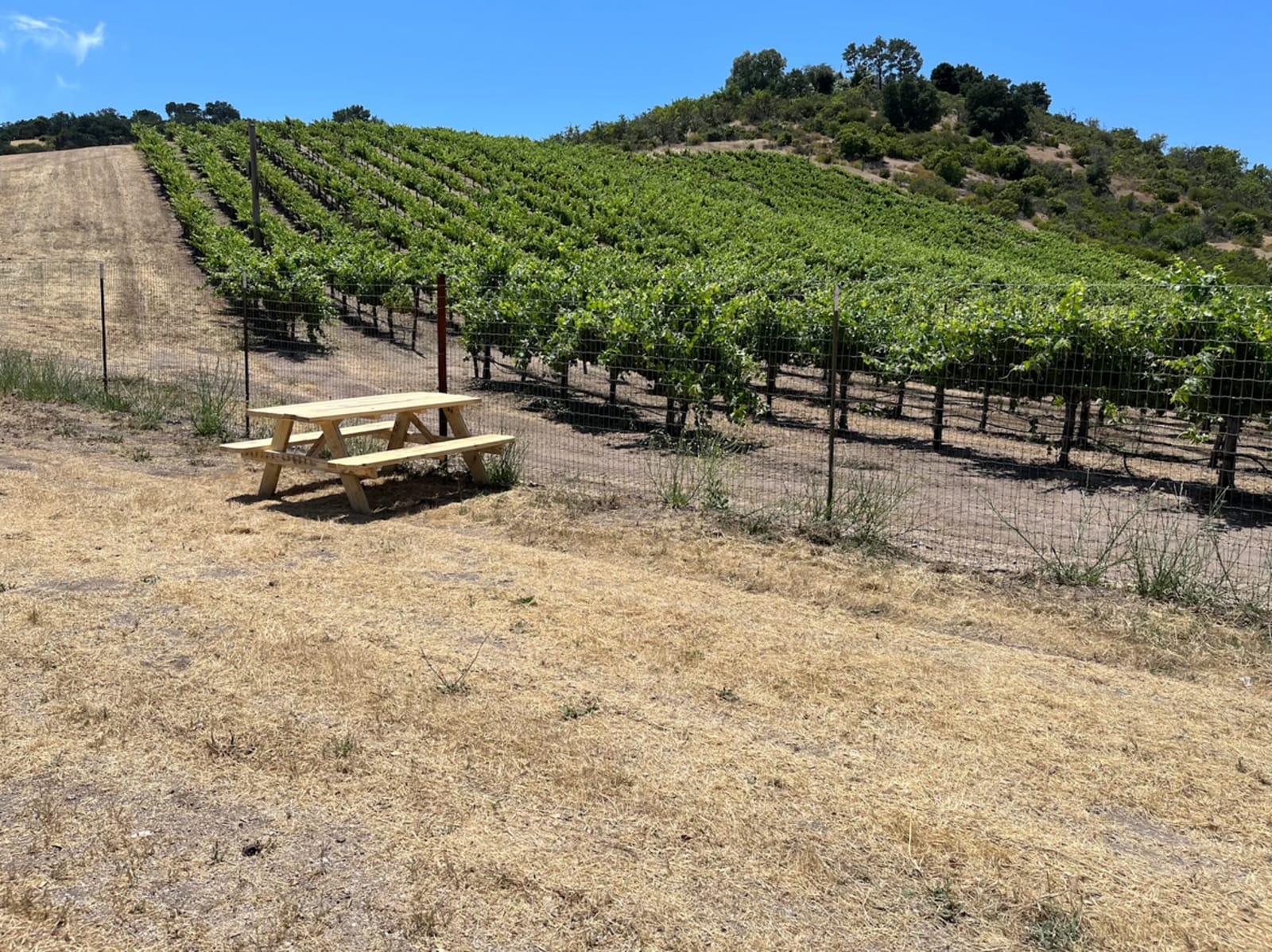 Paul's Paso Vineyard - glamping.directory