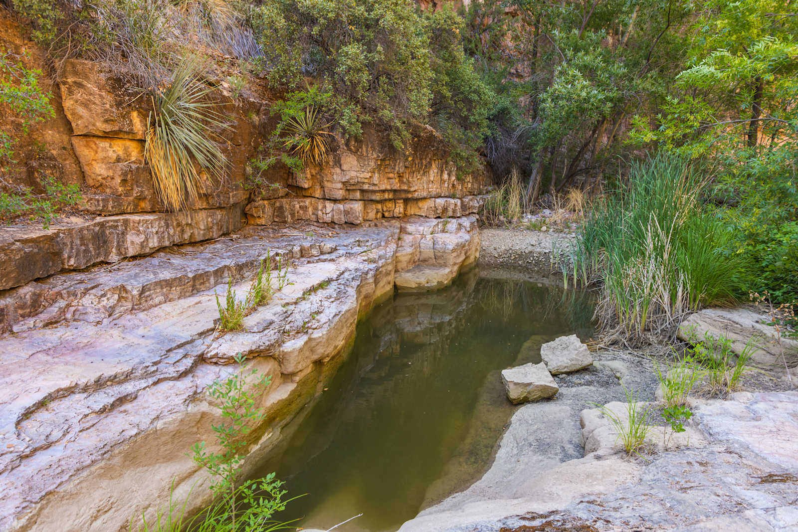 Ash Creek: Canyon Views & History - Cibecue, Arizona - glamping.directory