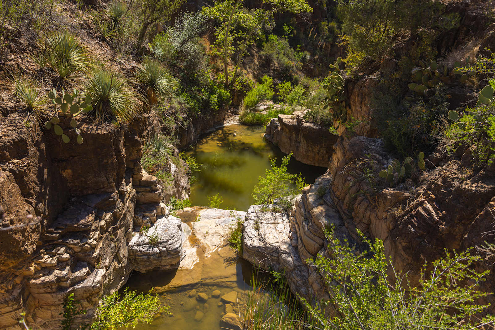 Ash Creek: Canyon Views & History - Cibecue, Arizona - glamping.directory