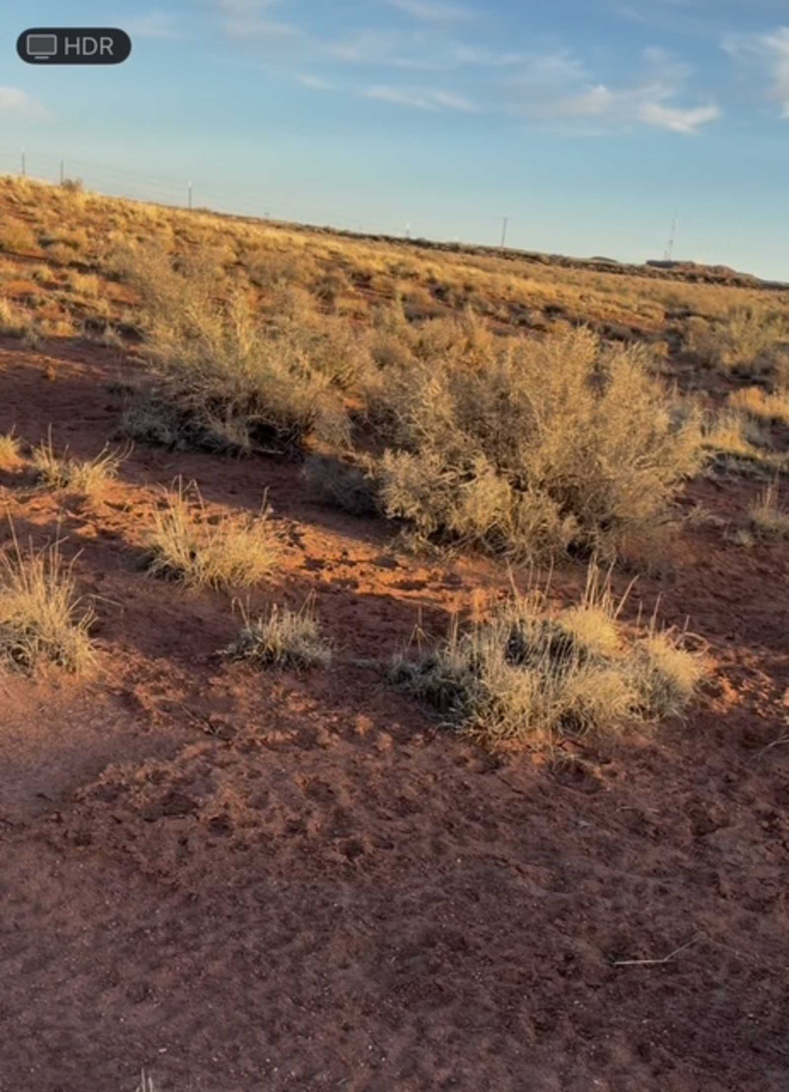 Route 66 Desert Rest - Holbrook, Arizona - glamping.directory