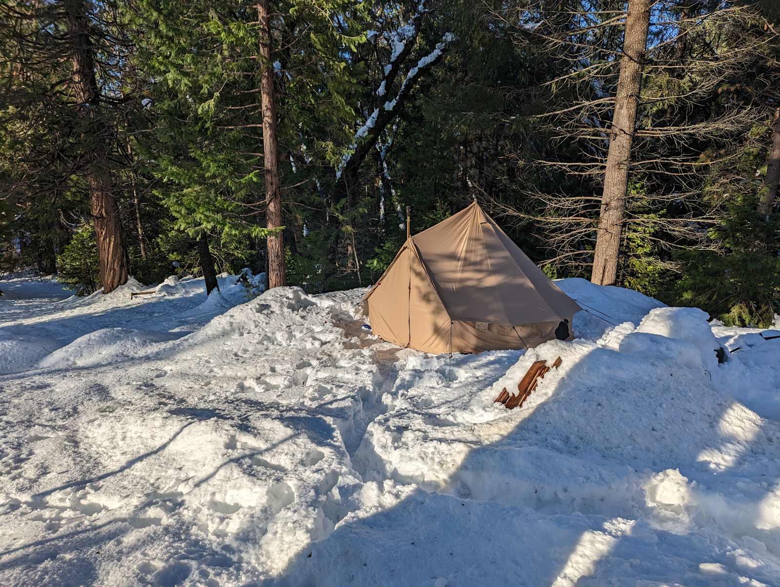 Gold Ridge Forest - Pollock Pines, California - glamping.directory