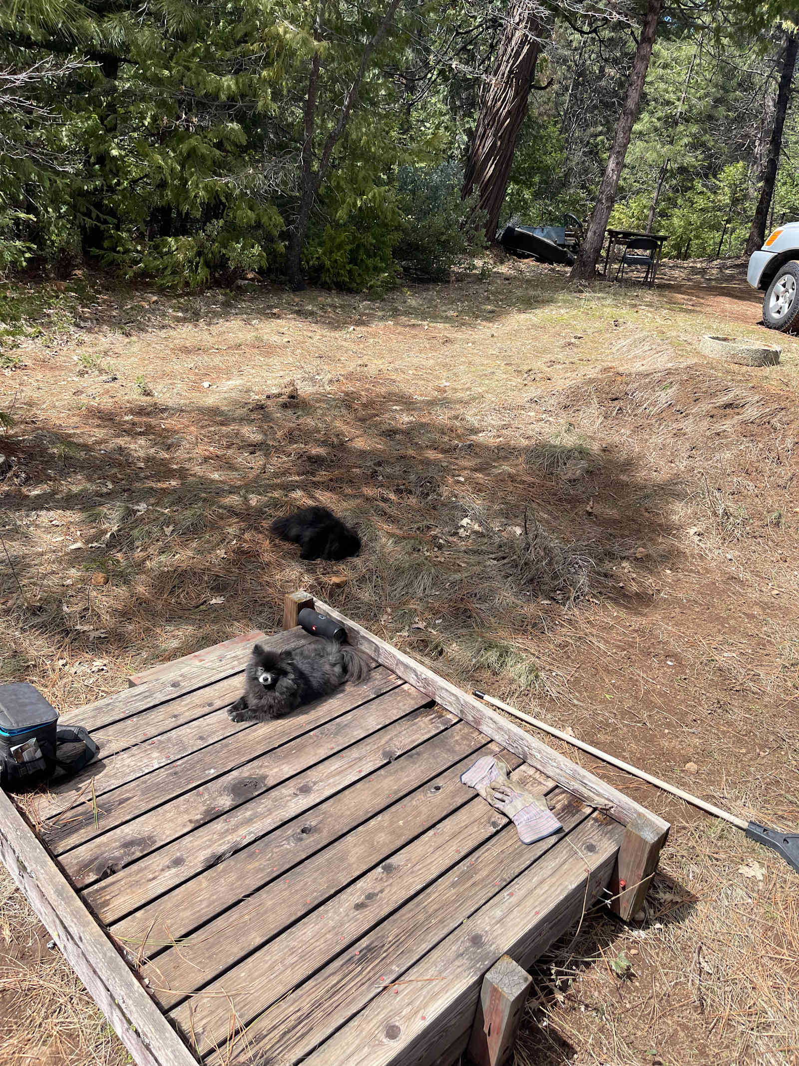 Gold Ridge Forest - Pollock Pines, California - glamping.directory