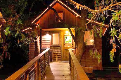 Romantic and Unique Tree House Rental on a Private Ranch in Central Texas - glamping.directory