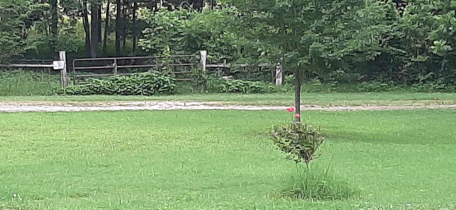 CinC's RV Hideaway - Melbourne, Arkansas - glamping.directory