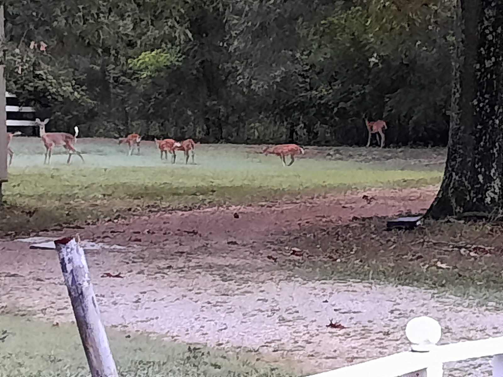 CinC's RV Hideaway - Melbourne, Arkansas - glamping.directory