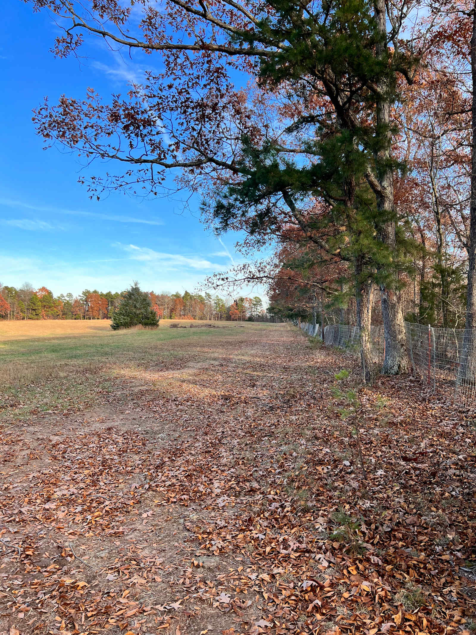 GramyBear Farm Rentals - Leslie, Arkansas - glamping.directory
