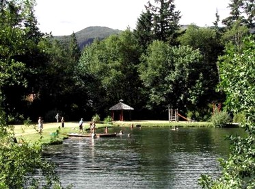 Secluded Romantic Cabin Getaway near Mount Rainier National Park, Washington - Ashford, Washington - glamping.directory