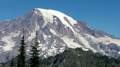 Secluded Romantic Cabin Getaway near Mount Rainier National Park, Washington - Ashford, Washington - glamping.directory