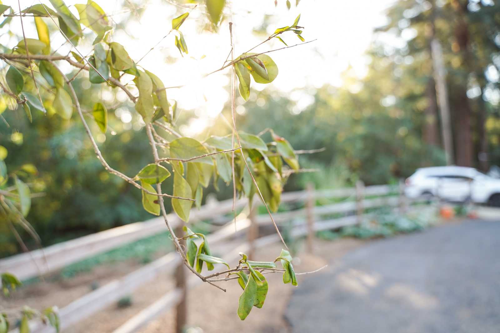 Glamping Experiences Napa Valley - glamping.directory