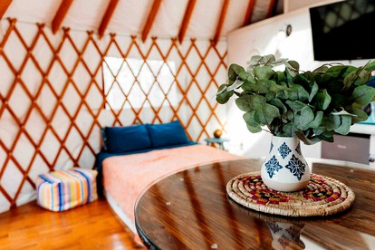 Pet Friendly Keuka Yurt in Penn Yan, New York - Penn Yan, New York - glamping.directory