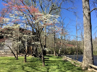 Fully-Furnished Suite Rental with Easy Access to the Great Smoky Mountains in Tennessee - Townsend, Tennessee - glamping.directory