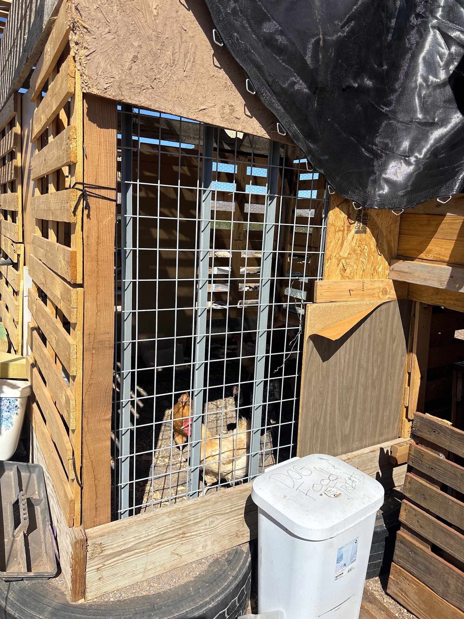 Homestead Haven - Golden Valley, Arizona - glamping.directory