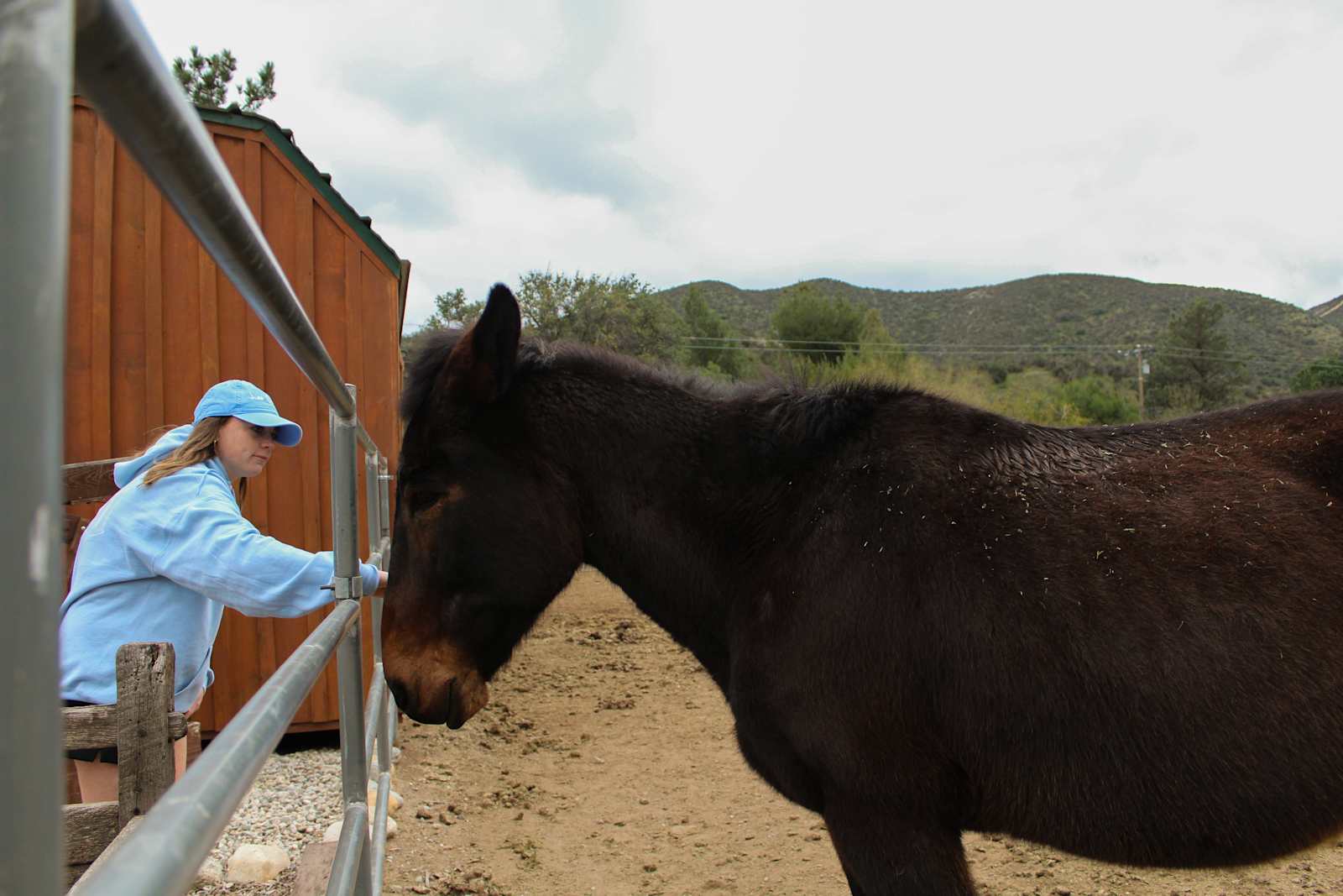 Desert mountain - Agua Dulce, California - glamping.directory