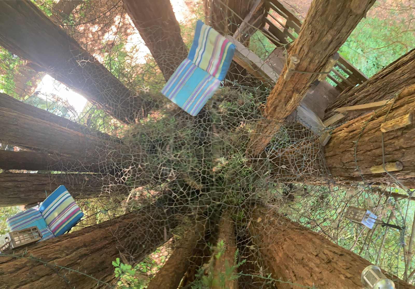 Sleep Up High In A Redwood Tree-net - San Geronimo, California - glamping.directory