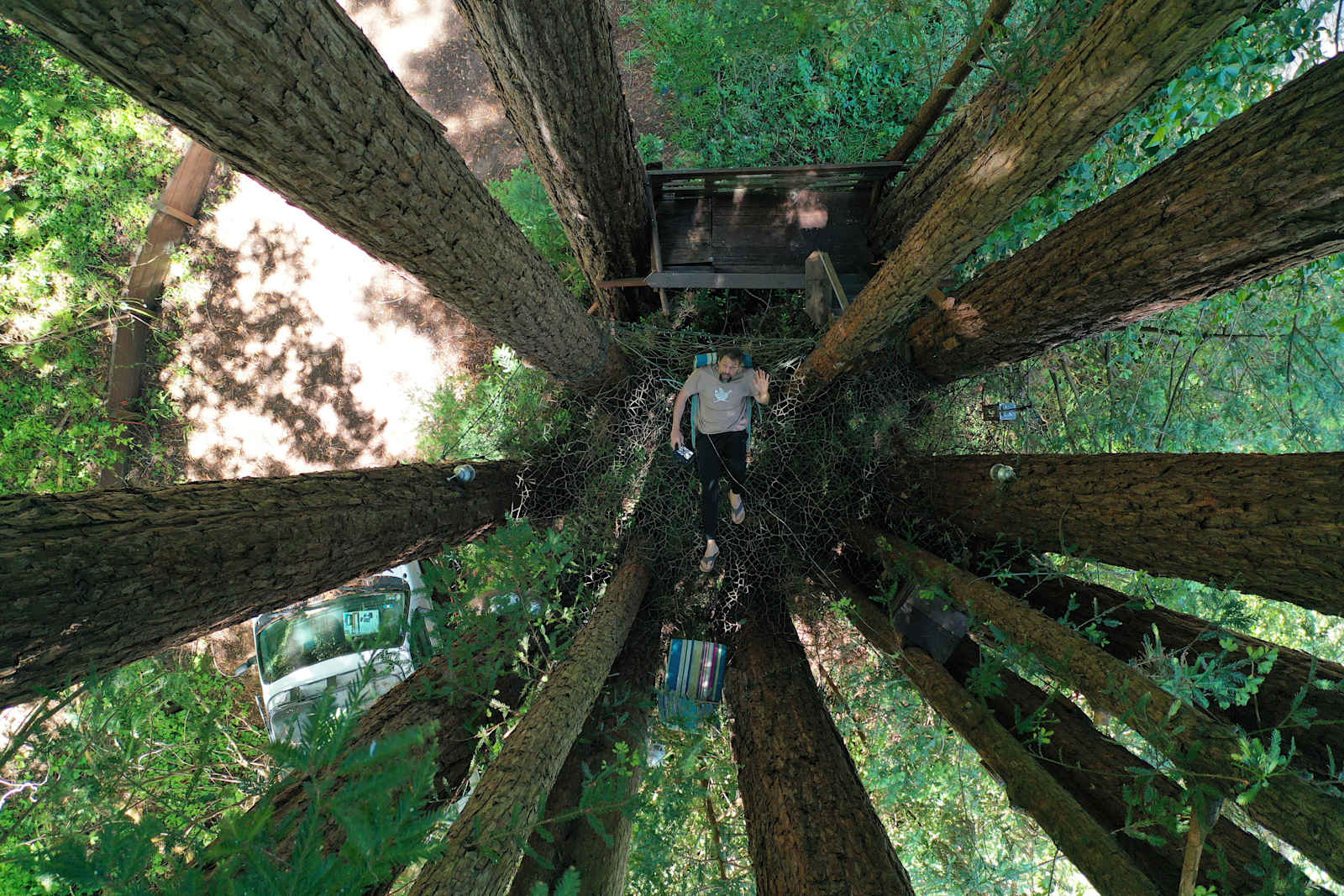 Sleep Up High In A Redwood Tree-net - glamping.directory