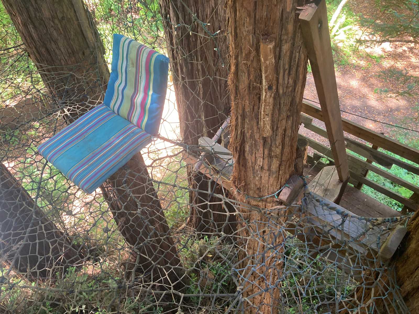 Sleep Up High In A Redwood Tree-net - San Geronimo, California - glamping.directory