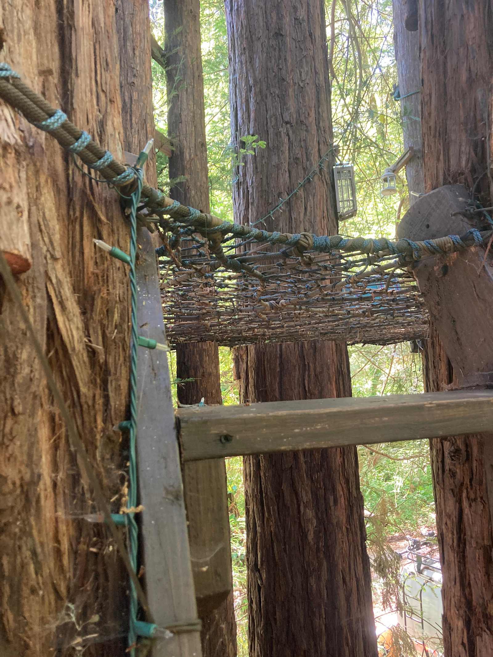 Sleep Up High In A Redwood Tree-net - San Geronimo, California - glamping.directory